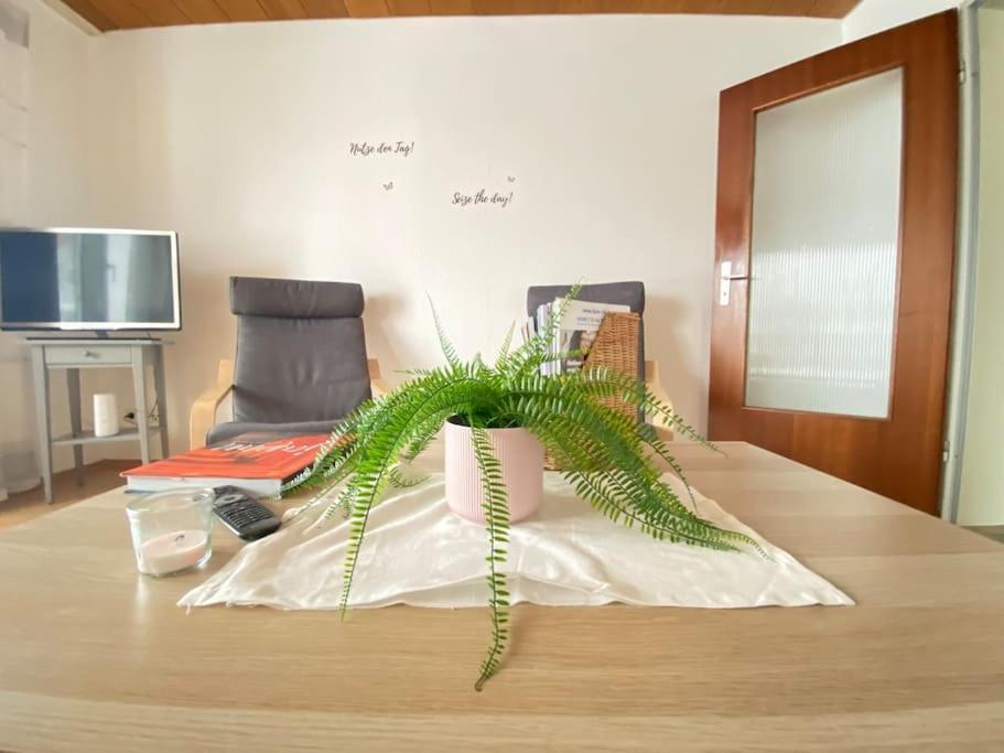Cozy Home In South-Germany Klettgau 外观 照片