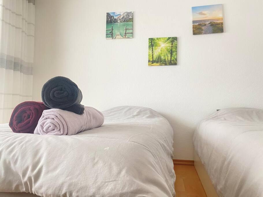 Cozy Home In South-Germany Klettgau 外观 照片